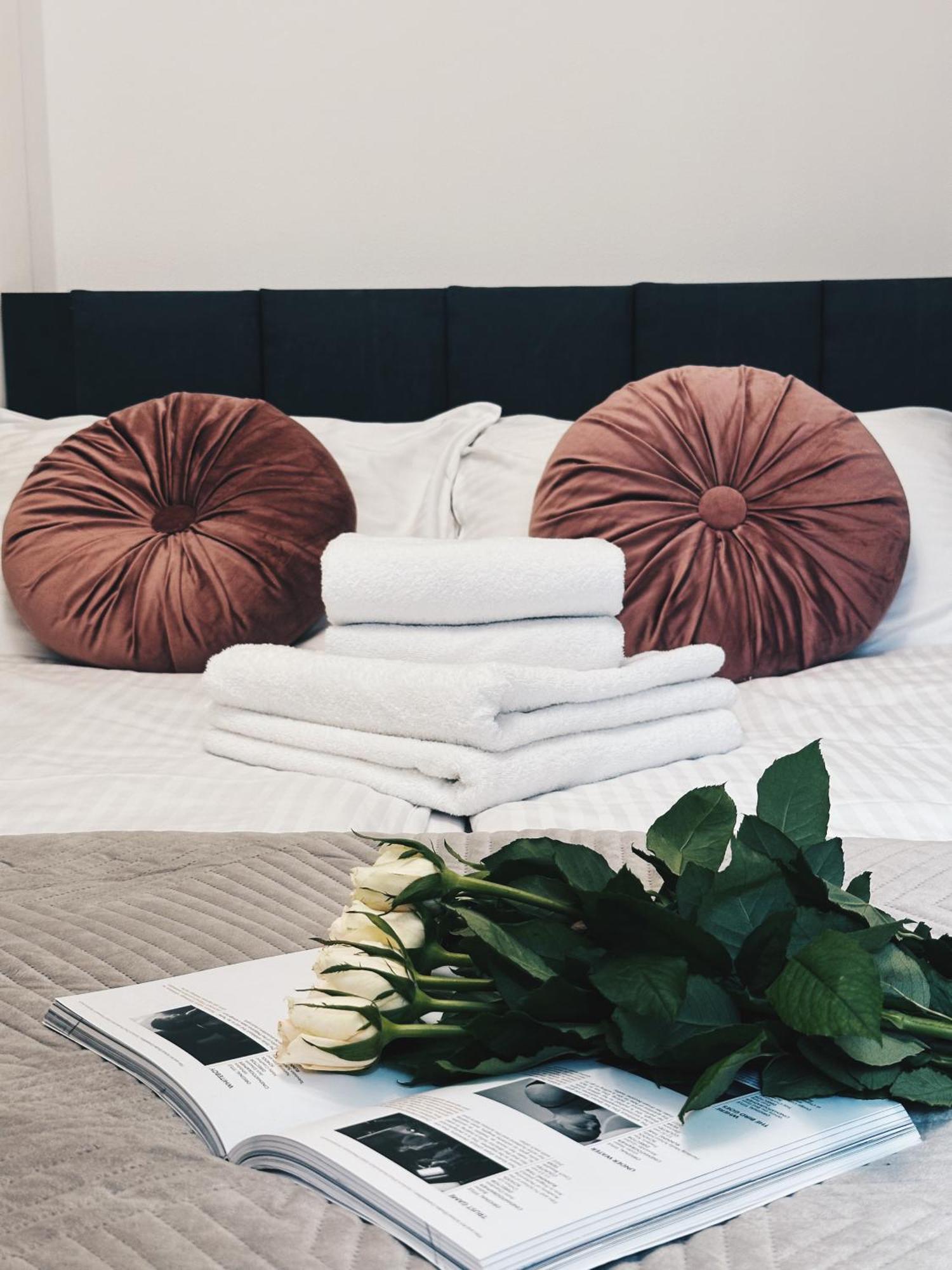 Soft Loft Apartamenty Stary Toruń Екстериор снимка